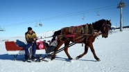 Kış turizmin vazgeçilmezi: Atlı kızaklar