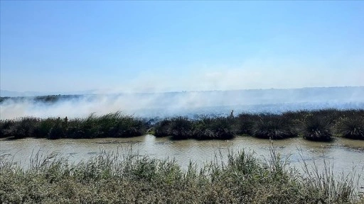 Kızılırmak Deltası Kuş Cenneti'nde yangın