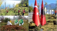 KKTC, Azerbaycan, Bosna Hersek ve Arnavutluk'ta binlerce fidan toprakla buluştu