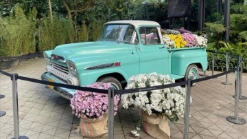 Kolombiya'da &quot;Orkide Festivali&quot; başladı