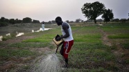 Kongo'da iklim değişikliği çiftçileri endişelendiriyor