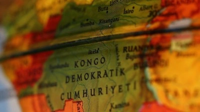Kongo Demokratik Cumhuriyeti yağmur ormanlarında yeni maymun t&uuml;r&uuml; keşfedildi