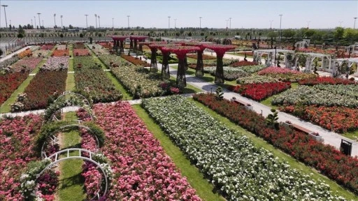 Konya'da 190 türün bulunduğu Karatay Mevlana Gül Parkı yeni sezonunu açtı