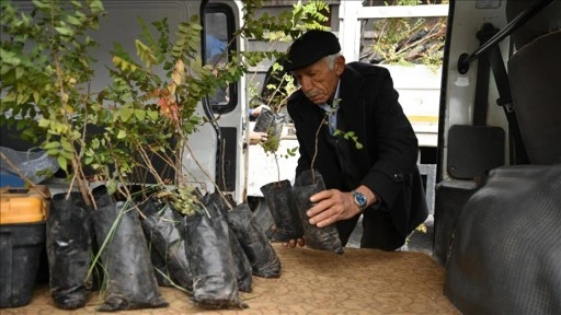 Konya'da çiftçiler kuraklığa karşı sumak üretimine özendiriliyor
