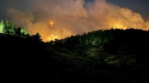 Konya'da çıkan orman yangınına müdahale sürüyor