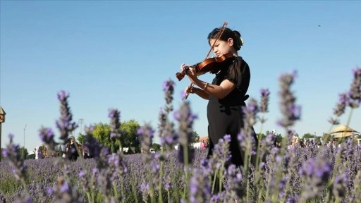 Konya'da "Karatay Lavanta Festivali" düzenlendi