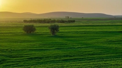 Konya'da yağışlar tarımda enerji maliyetlerini d&uuml;ş&uuml;rd&uuml;