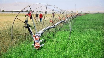 Konya Ovası'nda 'motorlu sulama sistemi' çiftçinin işini kolaylaştırıyor