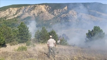 Konya'da &ccedil;ıkan orman yangını s&ouml;nd&uuml;r&uuml;ld&uuml;