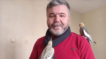 Konya'da yaşayan profesör evinde 10 papağan besliyor