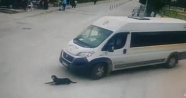 Köpeği ezen servis şoförüne Büyükşehir Belediyesi'nden ceza