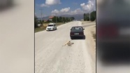 Köpeği otomobile bağlayarak sürükleyen kişi gözaltına alındı