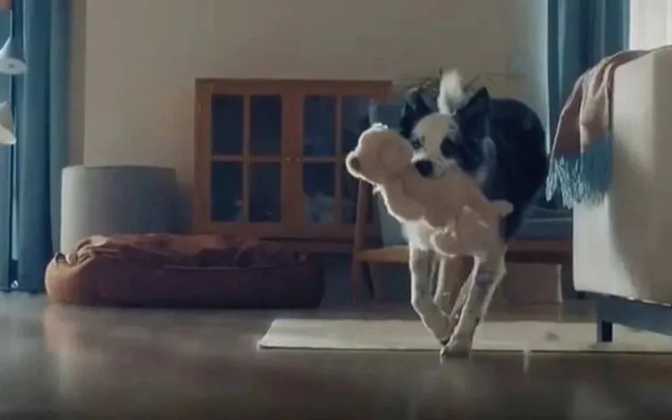 K&ouml;pek reklamı!.. -Ali Mevl&uuml;t Kaya yazdı-