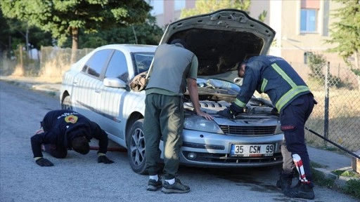 Köpeklerden kaçan su samuru otomobilin kaputuna sığındı