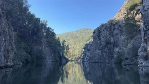 Koruma altındaki sığla ormanının g&uuml;zellikleri tekne turuyla keşfediliyor