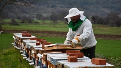 "K&ouml;yde bir kovanın olsun" projesiyle 50 kovan sahiplendirdi