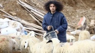 Köyünün &#039;Mandıra filozofu&#039; koyunlarının çobanı oldu