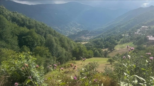 Kulakkaya Yaylası'nın turizm potansiyelinin artırılması hedefleniyor