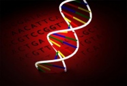 Kültürel farklar insan DNA'sına mührünü vuruyor