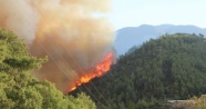 Kumluca'daki orman yangını tekrar başladı