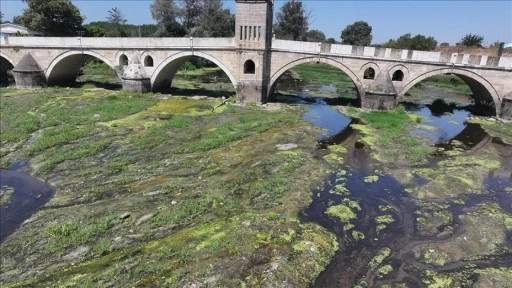 Kuraklığın etkilediği Tunca Nehri'nde su akışı durma noktasına geldi