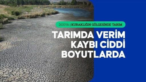 Kuraklık bu yıl birçok ürünü etkiledi