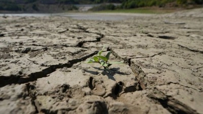 Kuraklık riskleri "TAKİS" ile dijital ortamda anlık takip edilecek