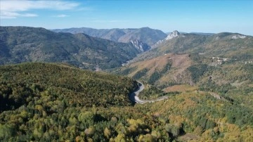 Küre Dağları'na sonbaharın renkleri hakim oldu