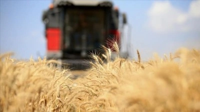 K&uuml;resel gıda fiyatları 3,5 yılın zirvesinde