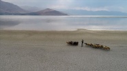 Küresel iklim değişikliği nedeniyle Van Gölü'nün su seviyesi düşüyor