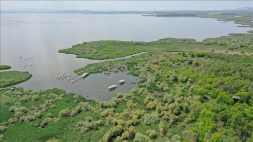 Kuşcenneti Milli Parkı baharda gelen kuşlarla renklendi