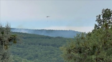 Kütahya'daki orman yangını, ekiplerin müdahalesiyle kontrol altına alındı