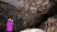 Lav tüpü mağaraları yabani hayvanlara 'yuva' oldu