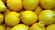 Limon fiyatlarına ihracat ayarı