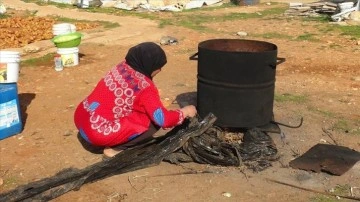 Lübnan'da bu kış da üşüyen Suriyeli mülteciler topladıkları çalı çırpılarla ısınıyor