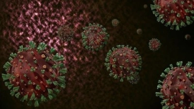 Madagaskar'da M &ccedil;i&ccedil;eği vaka sayısı 2 bini aştı