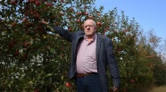 Maden emeklisine 55 ton elma 'ikramiyesi'
