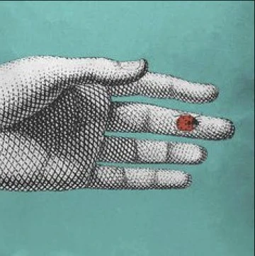 Mahrumla mecburuz -Arzu Leyal yazdı-