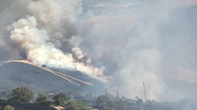 Malatya'da &ccedil;ıkan orman yangınına m&uuml;dahale ediliyor