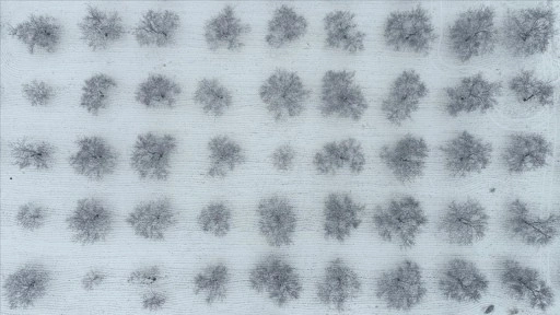 Malatya'da kayısı bah&ccedil;eleri beyaz &ouml;rt&uuml;yle kaplandı