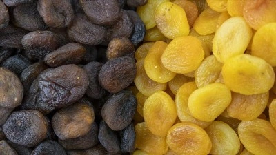 Malatya'da kuru kayısı ihracatında yeni sezondan beklenti y&uuml;ksek