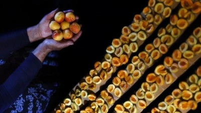 Malatya'dan yılın ilk &ccedil;eyreğinde 66 milyon dolarlık kuru kayısı ihracatı