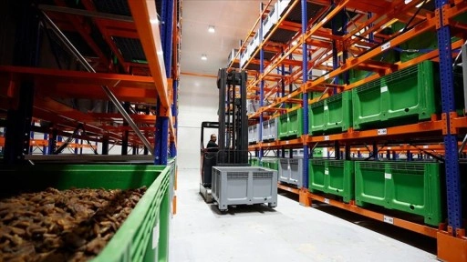 Malatya kayısısı lisanslı depo sayesinde dünya pazarındaki yerini korudu