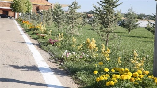 Malazgirt Zaferi kutlamalarının yapılacağı parka 1071'er çiçek ve fidan dikildi