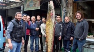 Manisa'da 80 kiloluk yayın balığı yakalandı