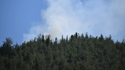Manisa'da orman yangını &ccedil;ıktı