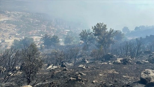 Manisa'nın Kırkağaç ilçesindeki orman yangını kontrol altına alındı