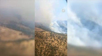 Manisa Salihli'de çıkan orman yangınına müdahale ediliyor