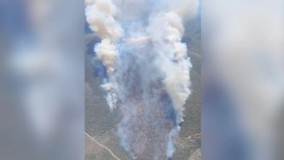 Manisa ve İzmir'de &ccedil;ıkan orman yangınlarına m&uuml;dahale ediliyor