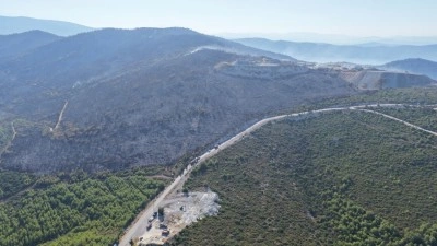 Manisa ve Muğla'daki orman yangınları kontrol altında